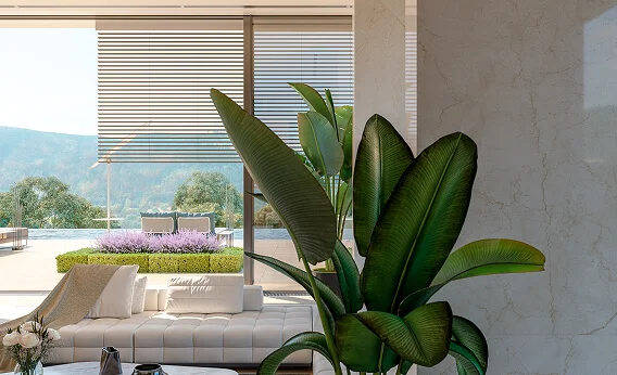 a mediterranian plant decoration villa