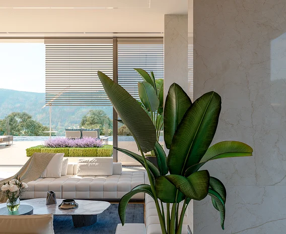 fresh botanical interior plants